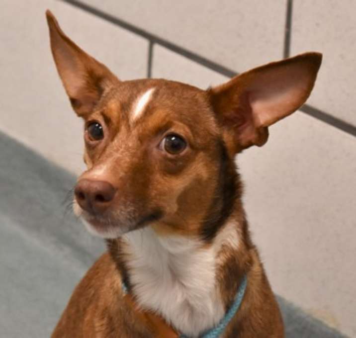 Photo of Winnie