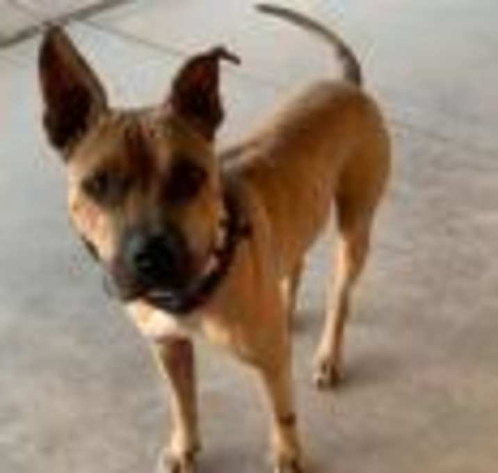 Photo of Swiper A4895653