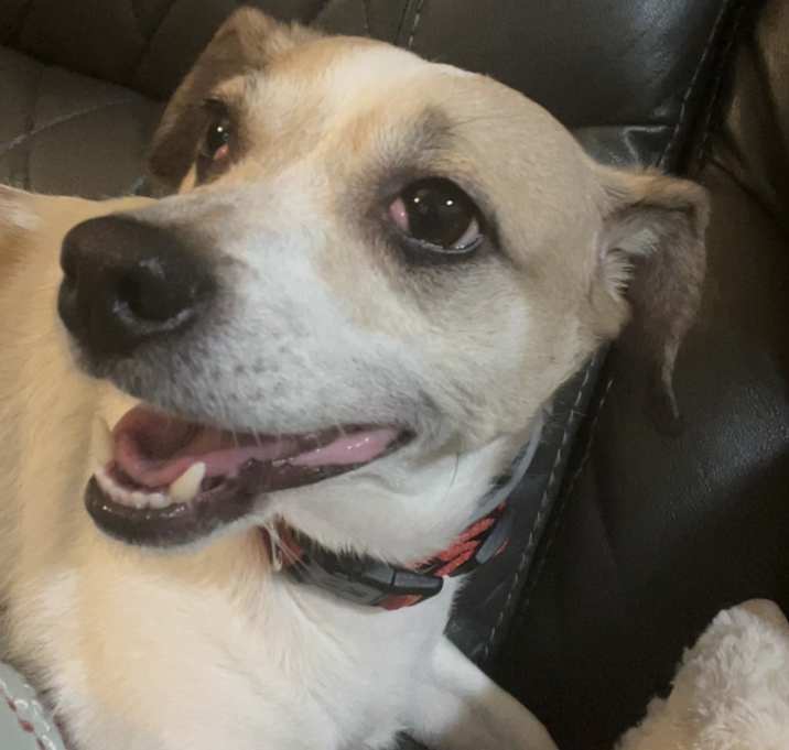 Photo of Jameson