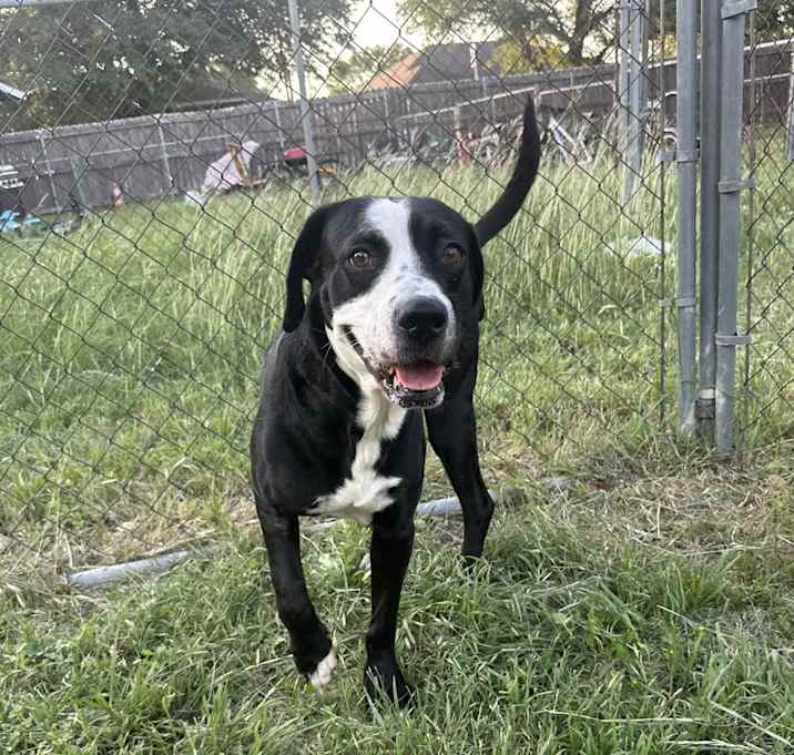 Photo of Ducky