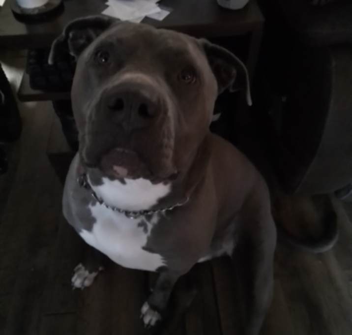 Photo of Odin