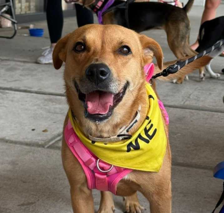 Photo of Mabel