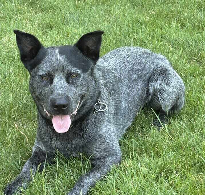 Photo of Finn