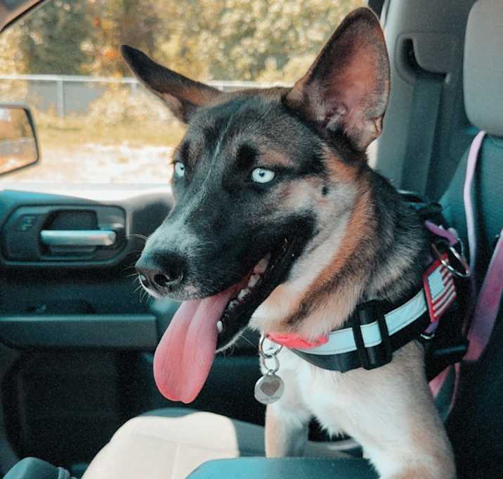 Photo of Mia