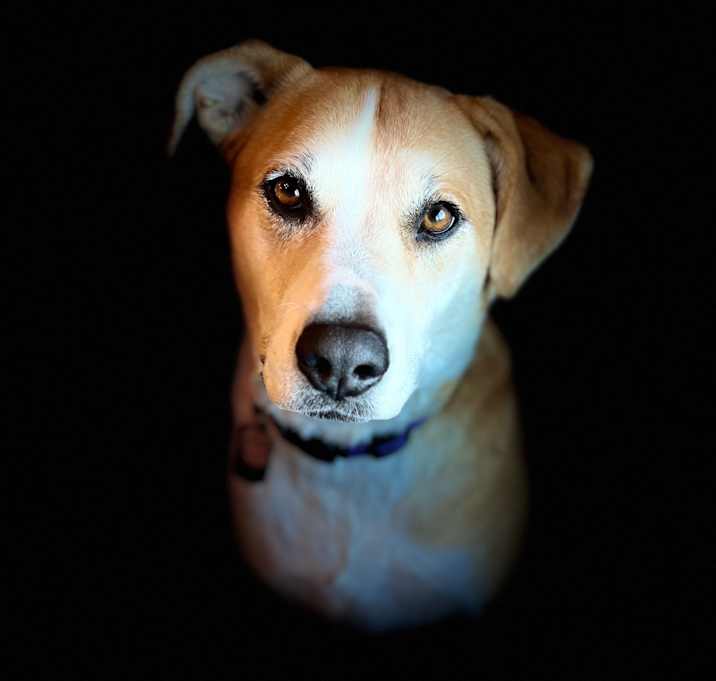 Photo of Missy