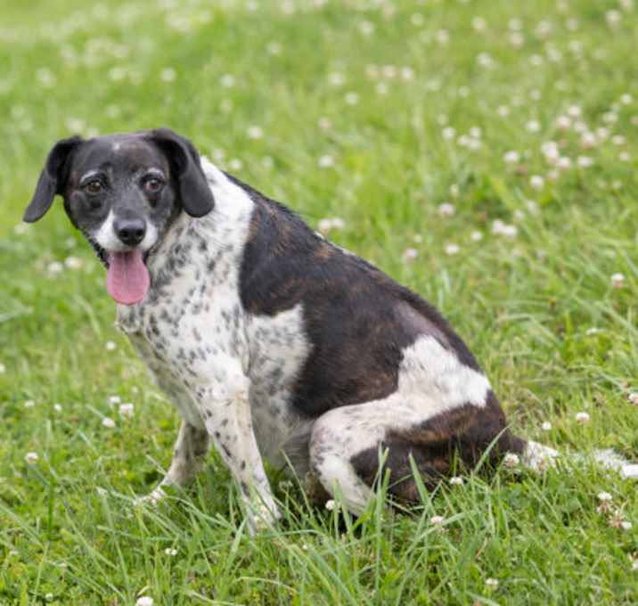 Photo of Macy