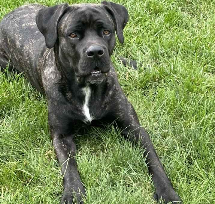 Photo of Kilo