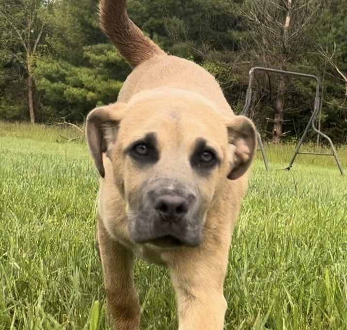 Photo of Buddy