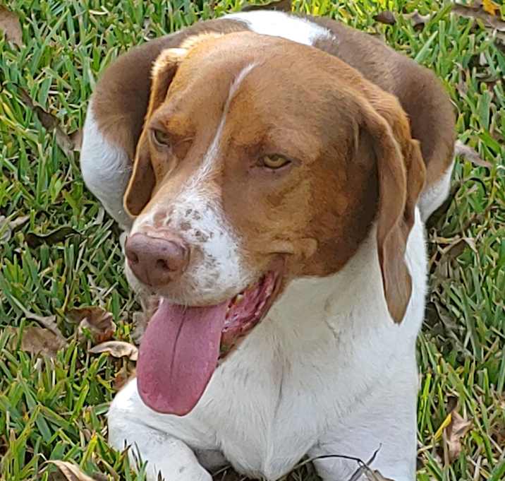 Photo of Watson