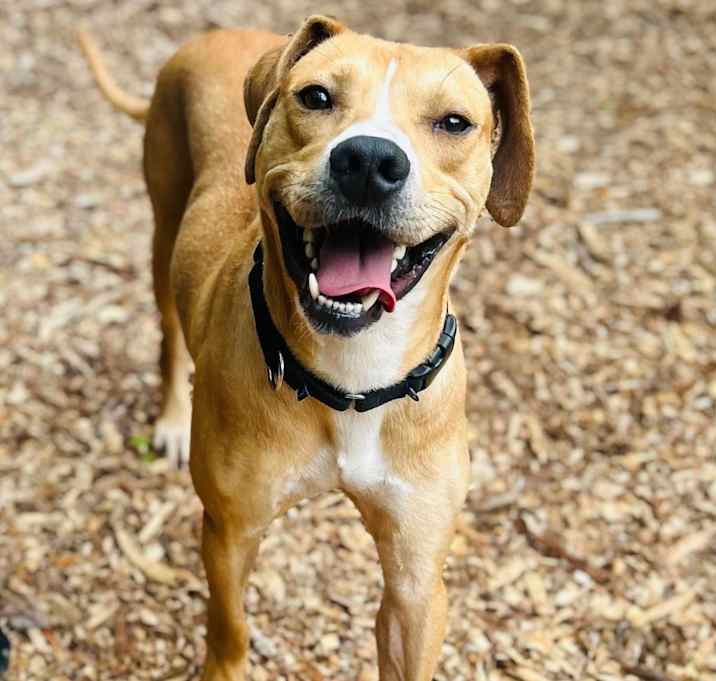 Photo of Oliver