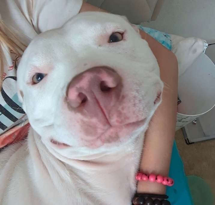 Photo of Bella