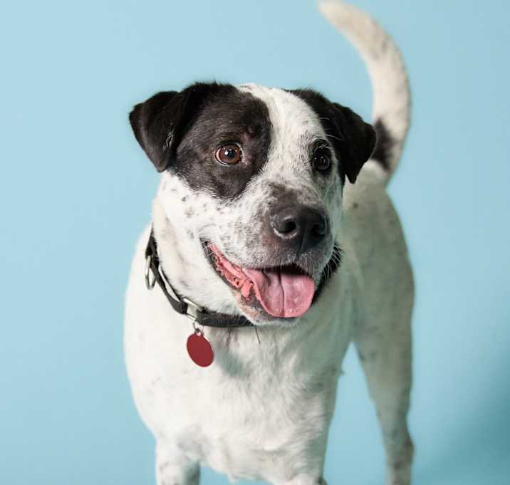 Photo of Charlie
