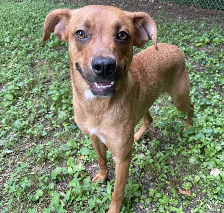 Photo of Boudreaux