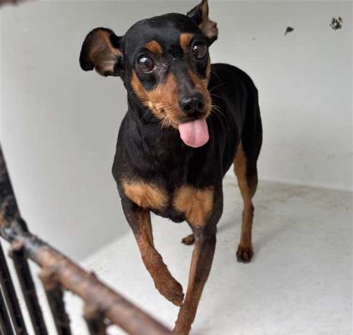 Photo of BELLA