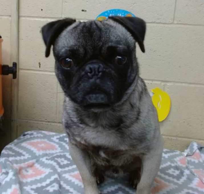 Photo of CUCO