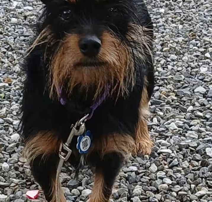 Photo of Belle