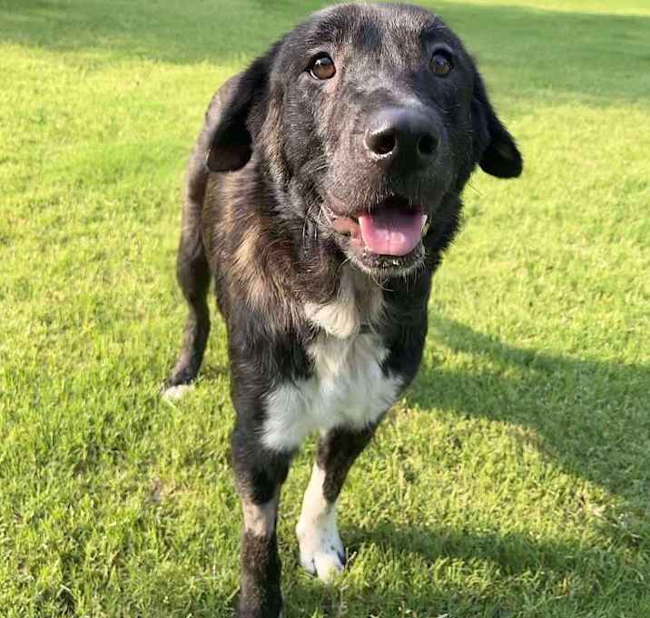 Photo of Ruby
