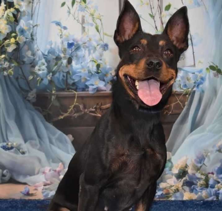 Photo of Frida