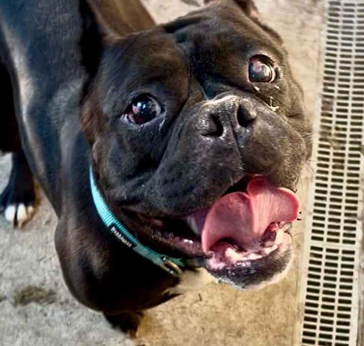 Photo of Annie