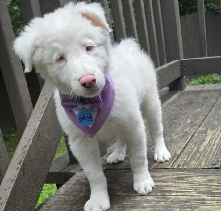Photo of Derby