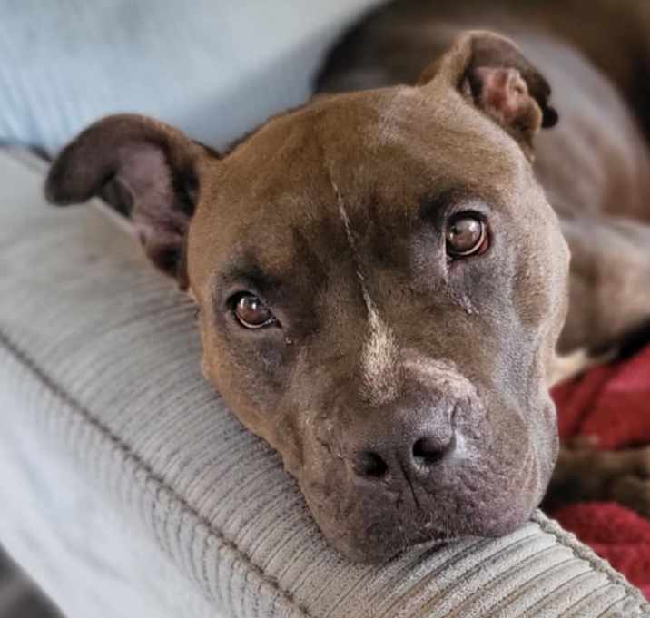 Photo of Bree