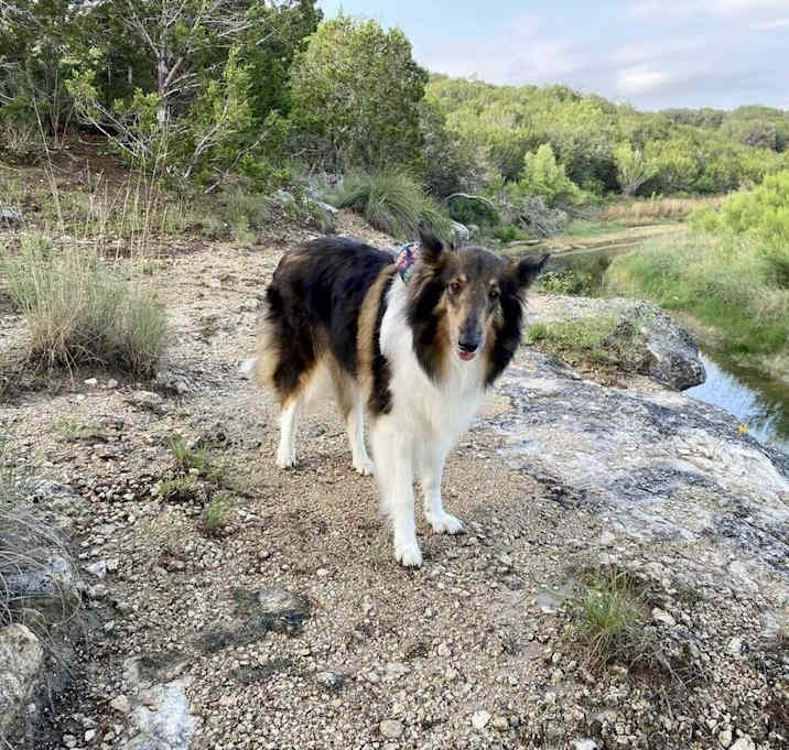 Photo of Holly