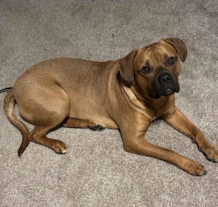 Photo of Duke