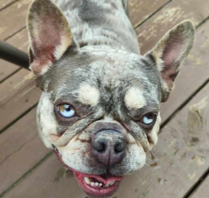 Photo of Ivy