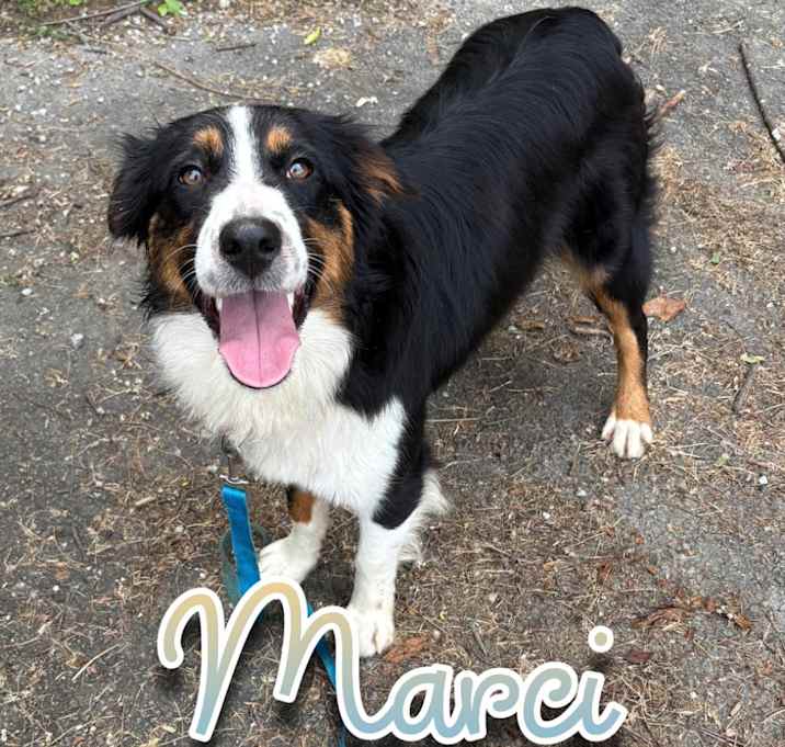 Photo of Marci
