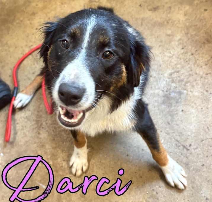 Photo of Darci