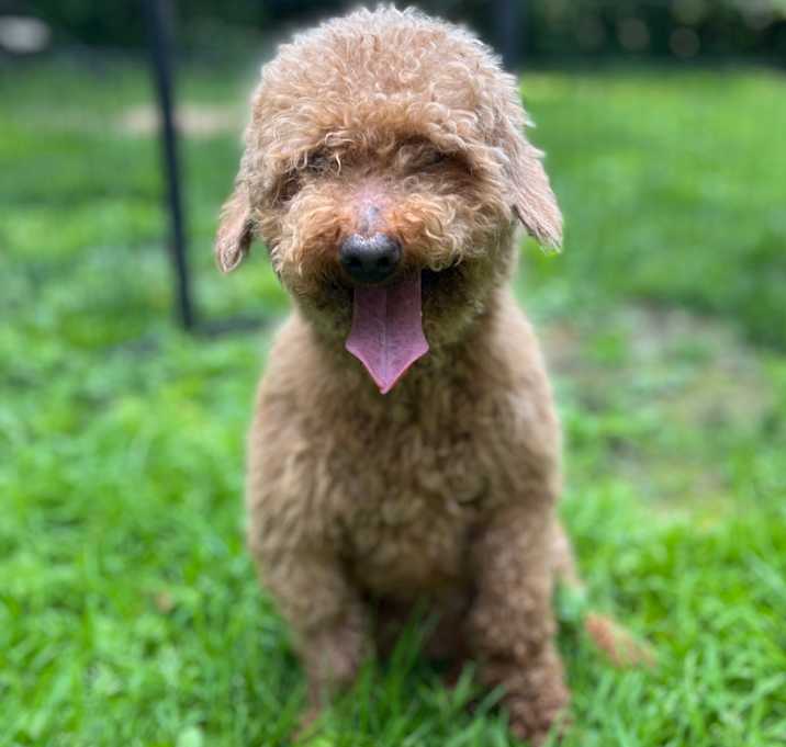 Photo of Waverly
