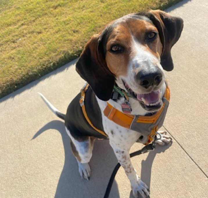 Photo of Duke