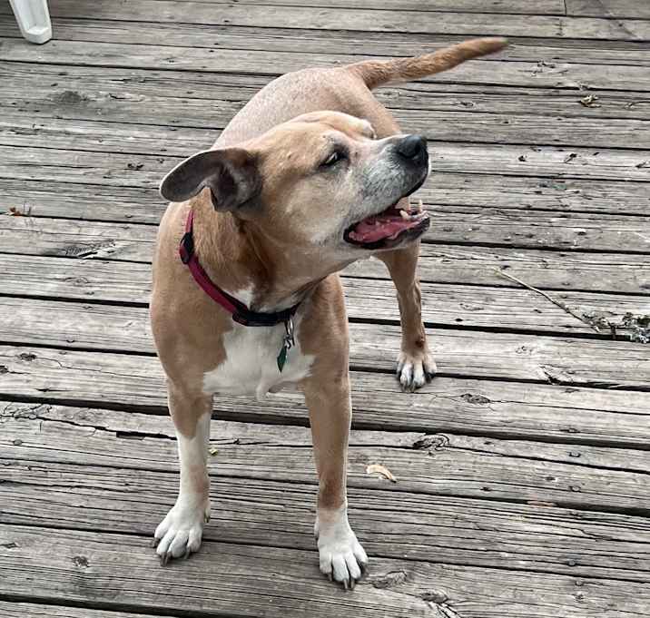 Photo of Lucy