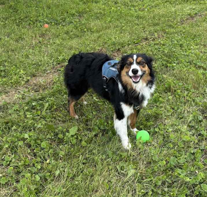 Photo of Hyzer