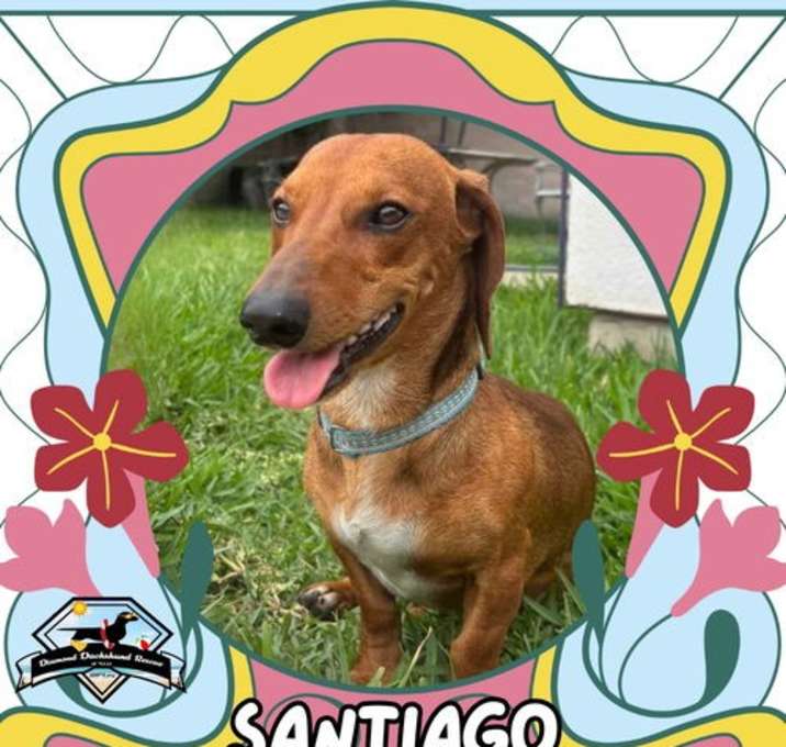 Photo of Santiago