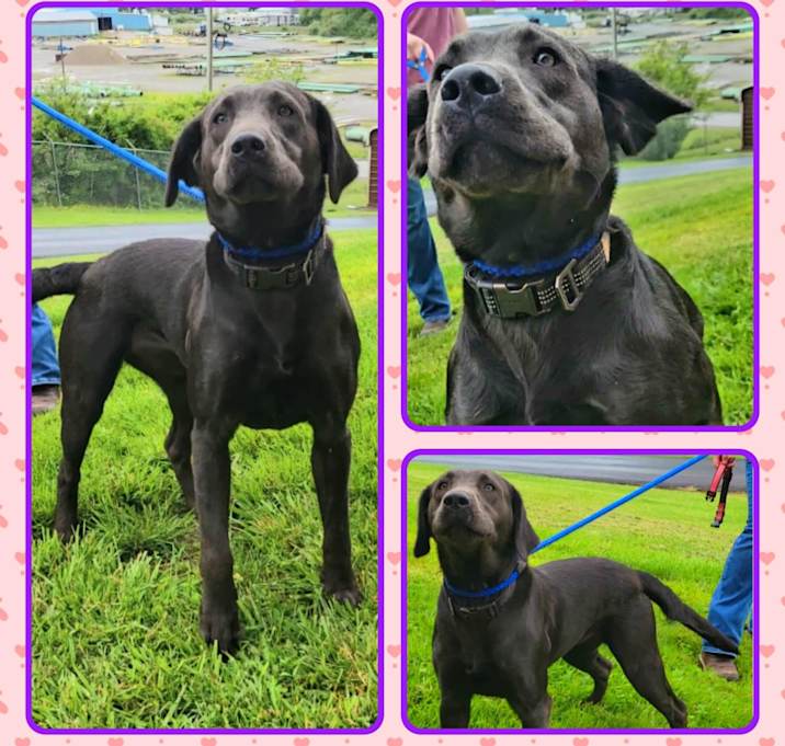 Photo of STORMY