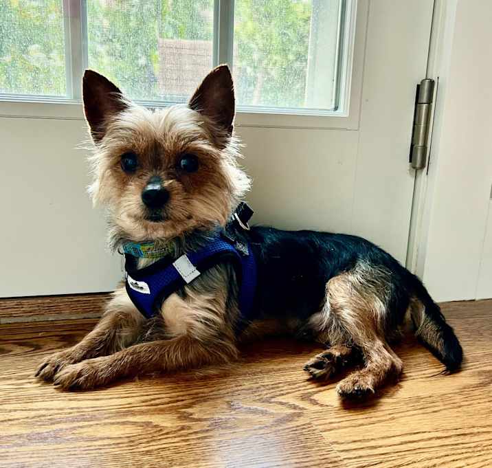 Photo of Junior