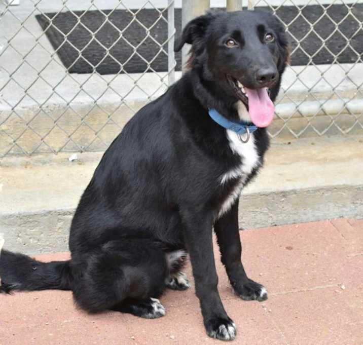 Photo of Rocky