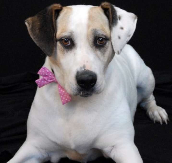 Photo of Maggie