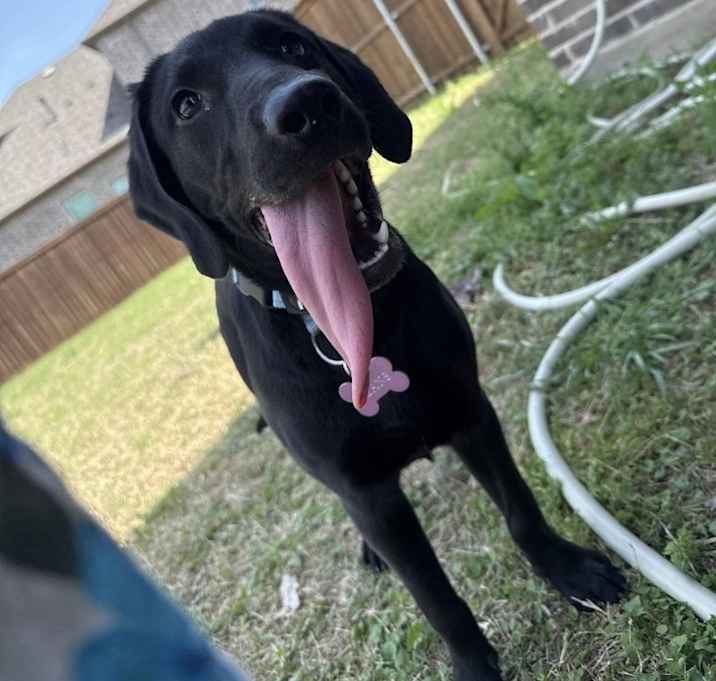 Photo of Beans