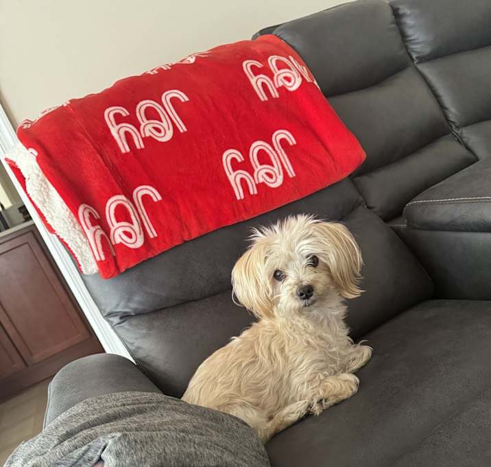 Photo of Sasha