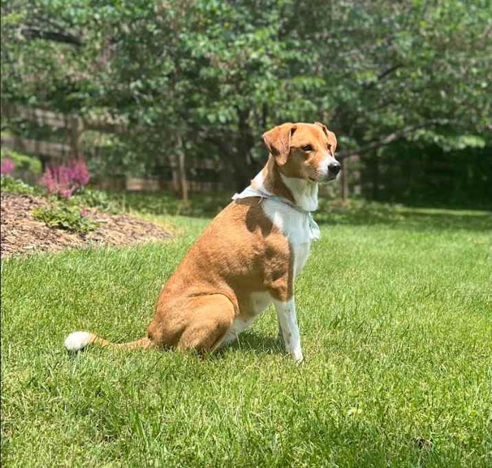 Photo of Skye
