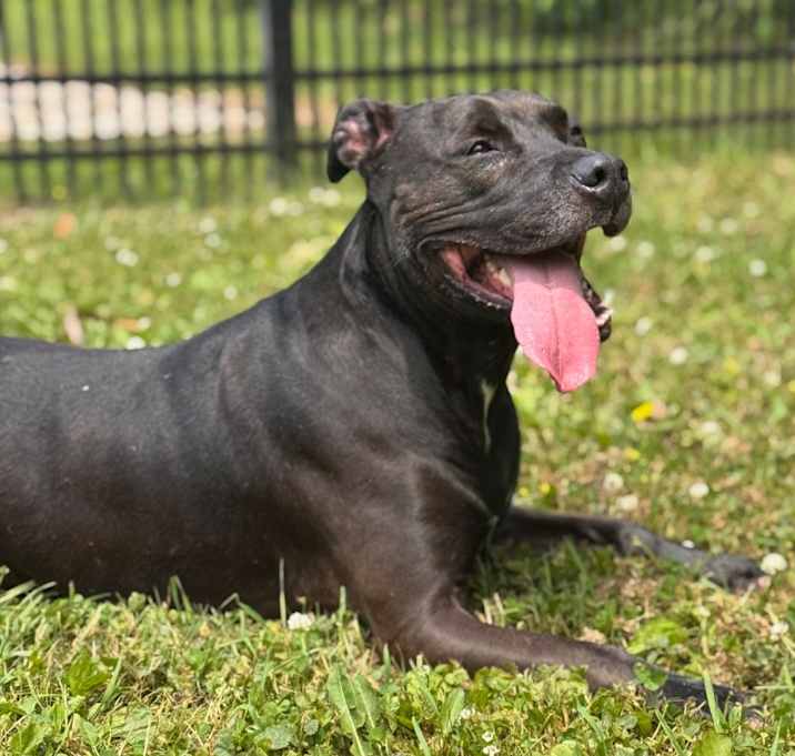 Photo of Sadie