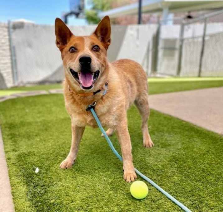 Photo of Wally