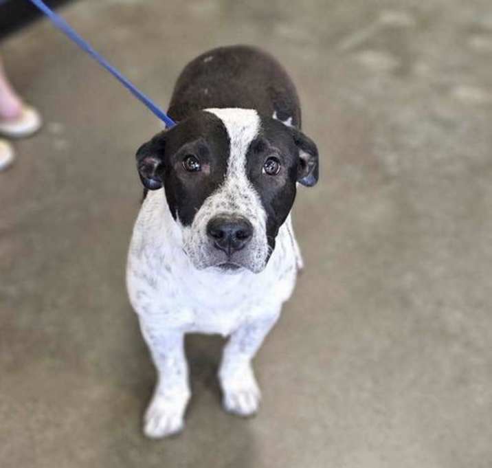 Photo of Nova