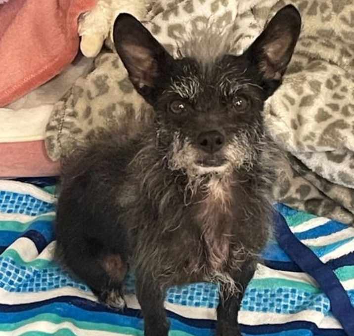 Photo of Little Miss