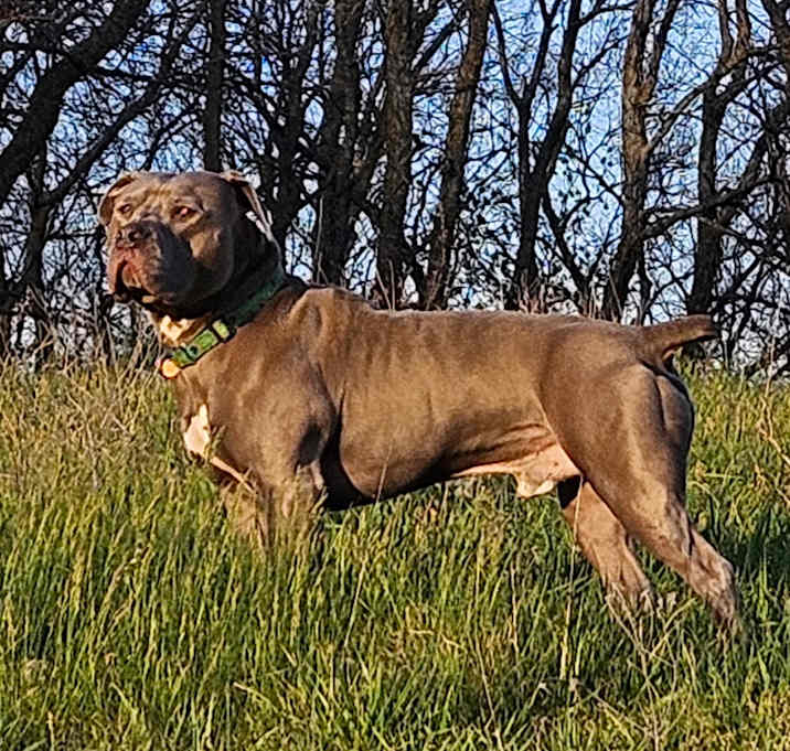 Photo of Kurt Russell (Meatball)