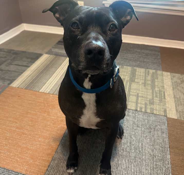 Photo of Coda