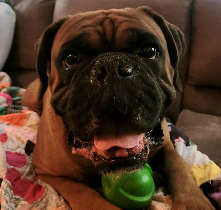 Photo of Kyzer