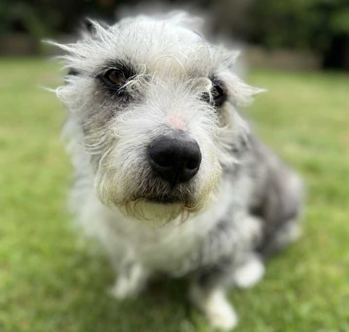 Photo of Jasper